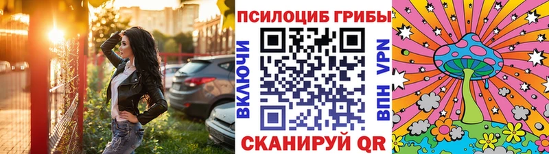 Псилоцибиновые грибы Cubensis Камбарка